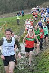 Click on thumbnail for larger photo