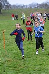 Click on thumbnail for larger photo
