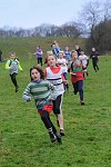Click on thumbnail for larger photo