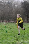Click on thumbnail for larger photo