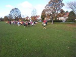 Click on thumbnail for larger photo