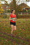 Click on thumbnail for larger photo