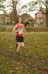 Click on thumbnail for larger photo