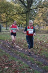 Click on thumbnail for larger photo