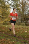 Click on thumbnail for larger photo