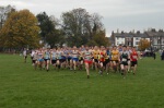 Click on thumbnail for larger photo