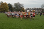 Click on thumbnail for larger photo