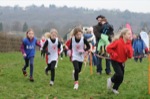 Click on thumbnail for larger photo