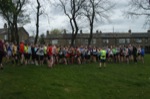 Click on thumbnail for larger photo