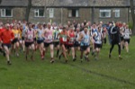 Click on thumbnail for larger photo
